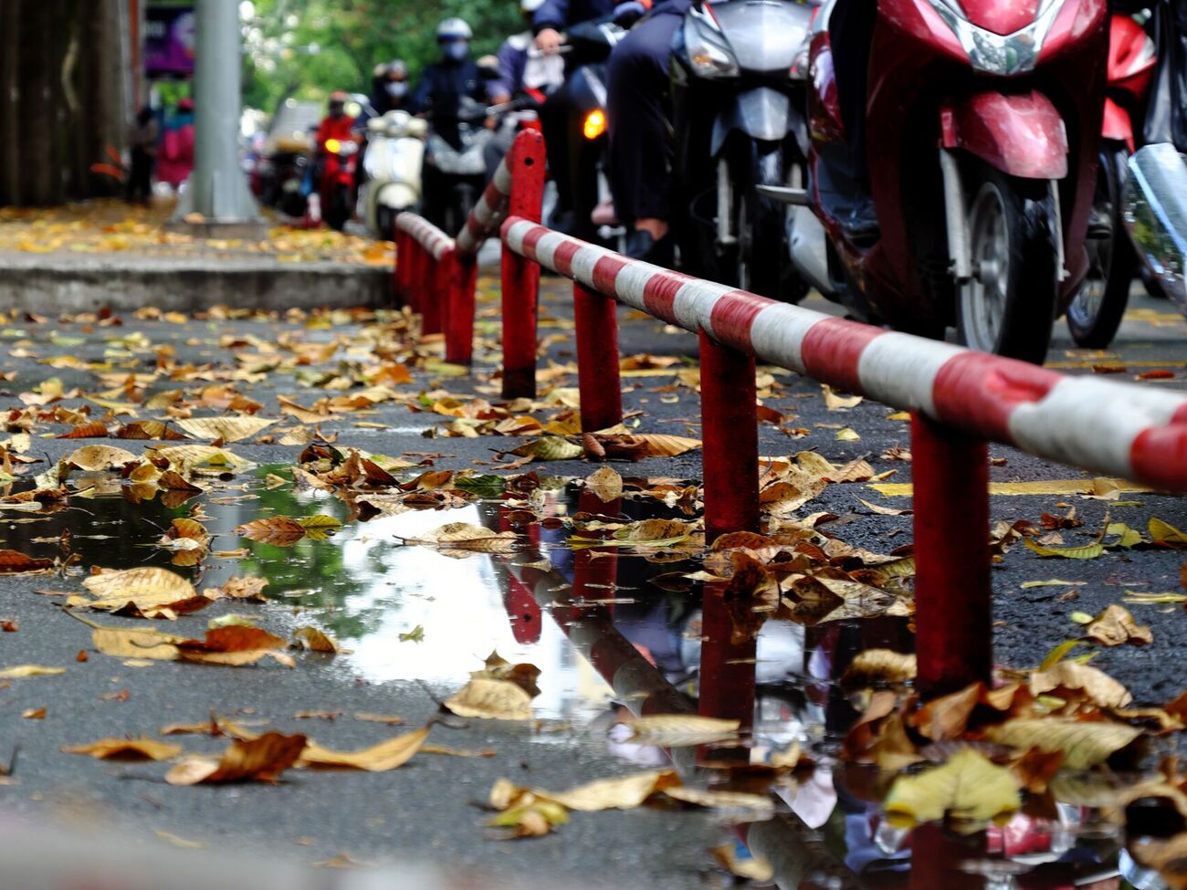 Потепление в Украине ожидается с середины недели
