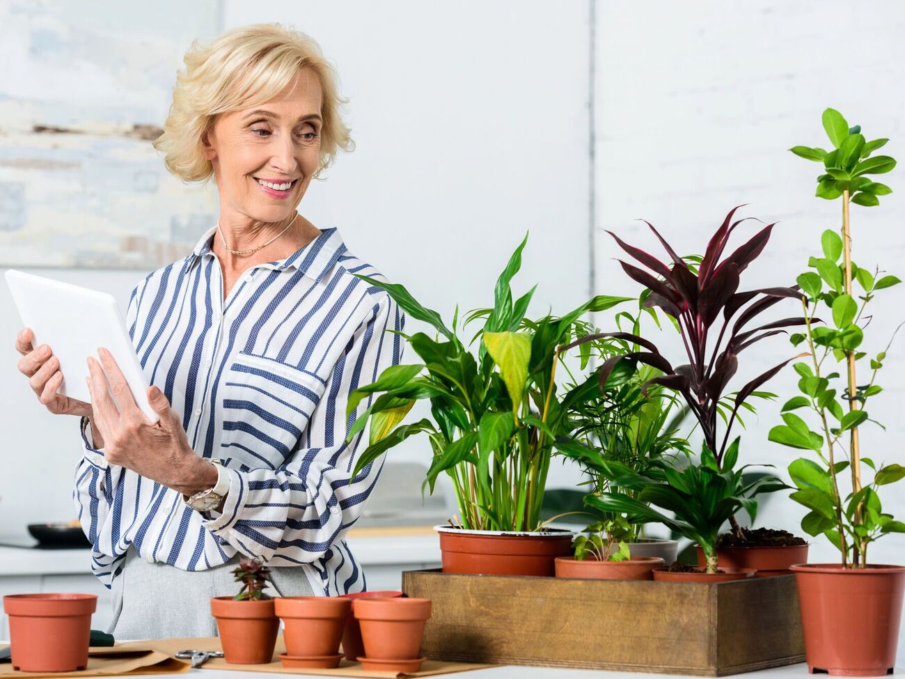 Состояние комнатных растений нужно постоянно контролировать