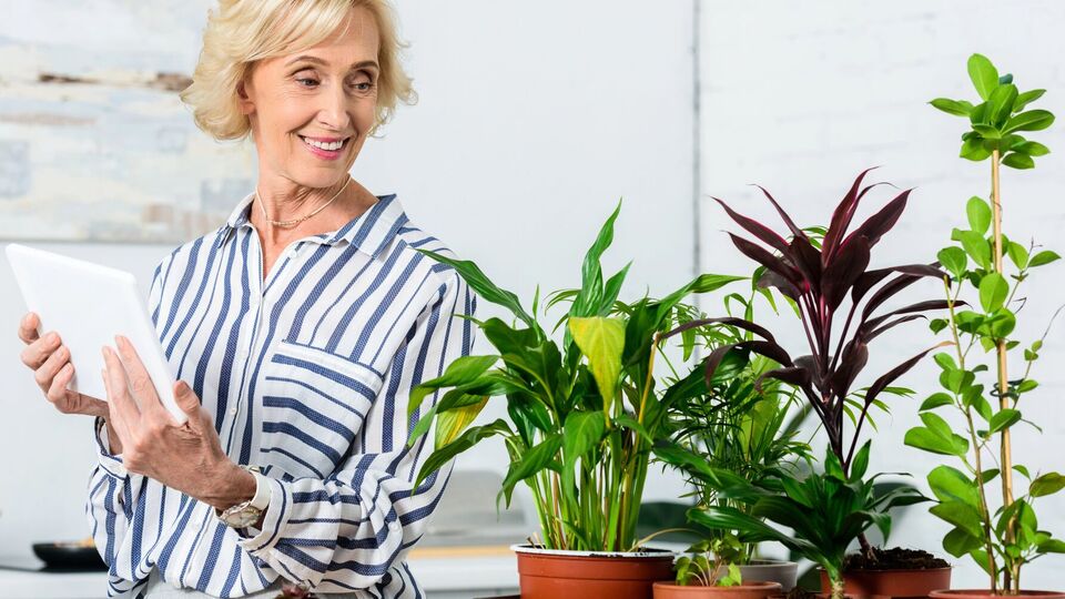 Состояние комнатных растений нужно постоянно контролировать