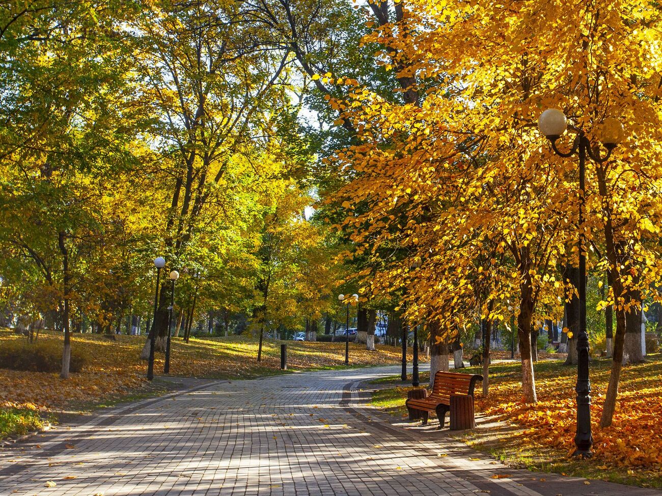 В Украине будет тепло и солнечно до выходных
