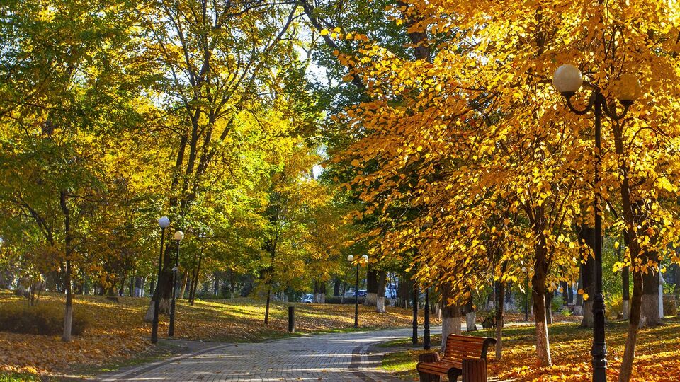 В Украине будет тепло и солнечно до выходных