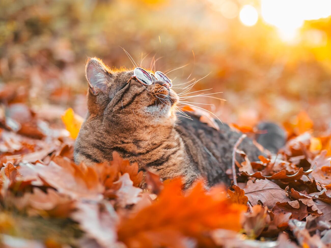 В Укргидрометцентре предупредили об облачности, однако с прояснениями