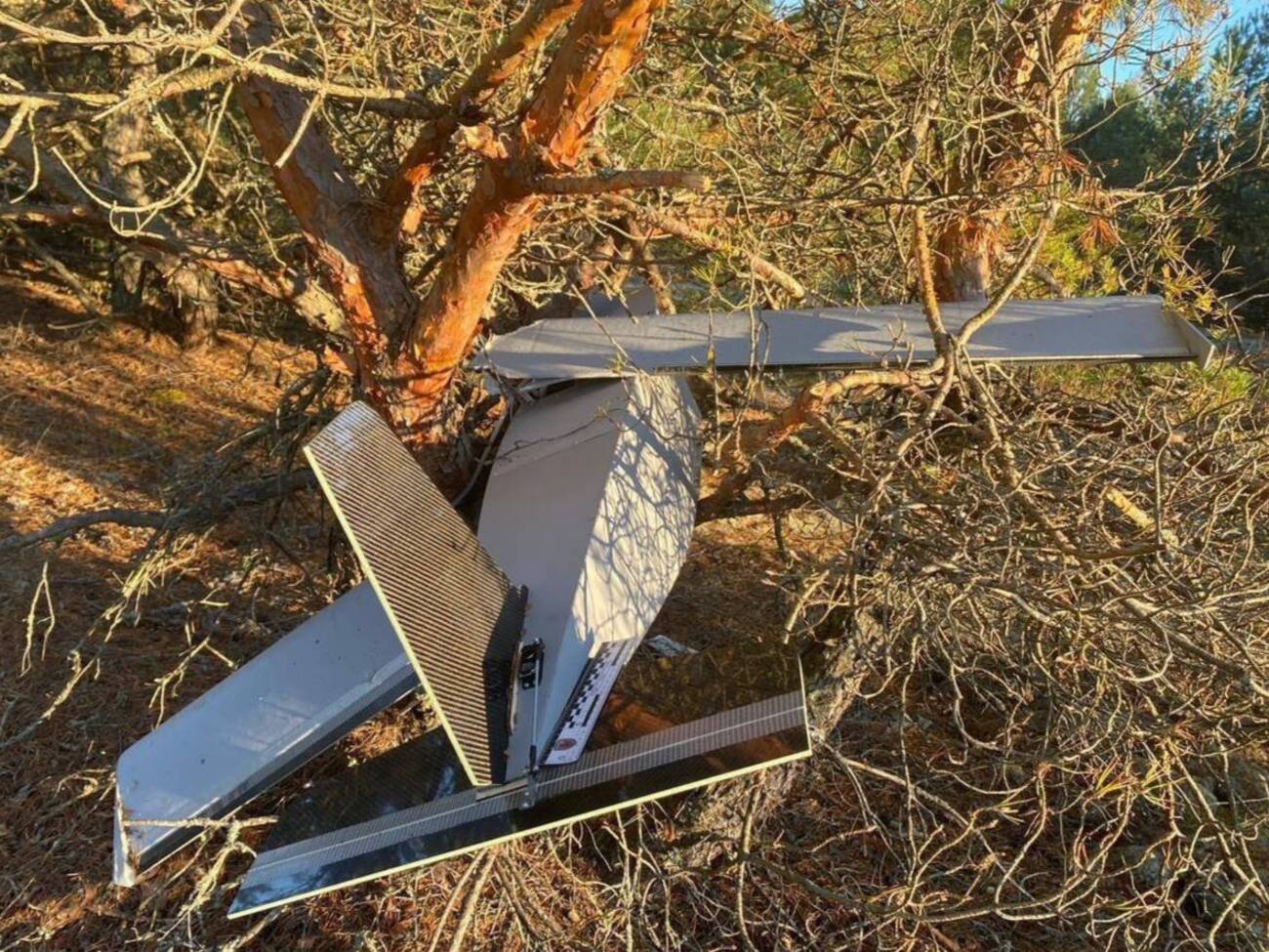 Цаплиенко пишет, что в Молдове нашли дрон-приманку