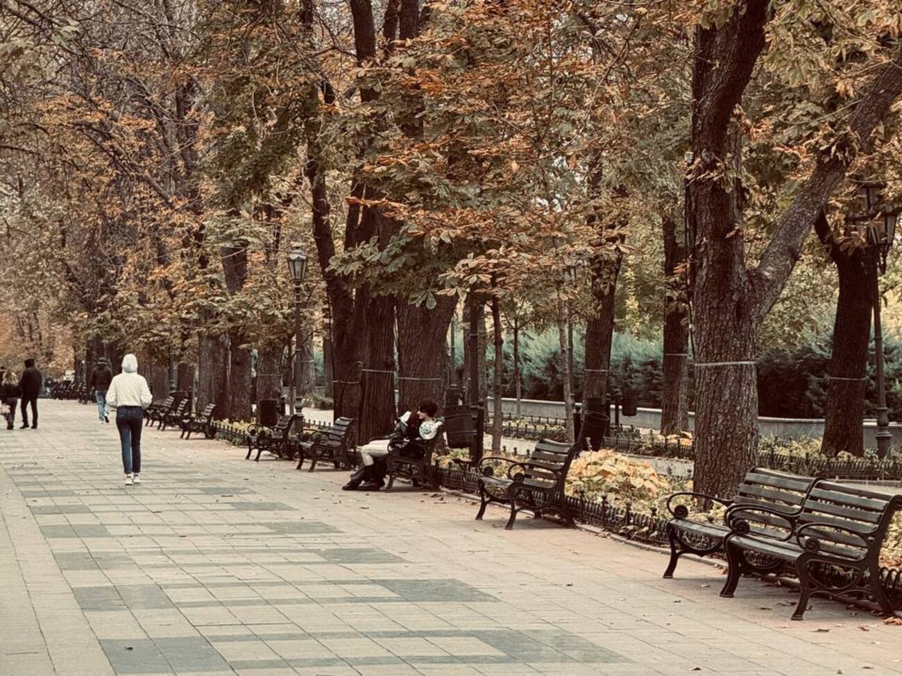 Погоду без дощу та снігу пояснюють впливом на Україну антициклону
