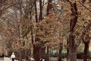 Погоду без дощу та снігу пояснюють впливом на Україну антициклону