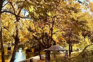 12 листопада в Україні буде тепло й сухо