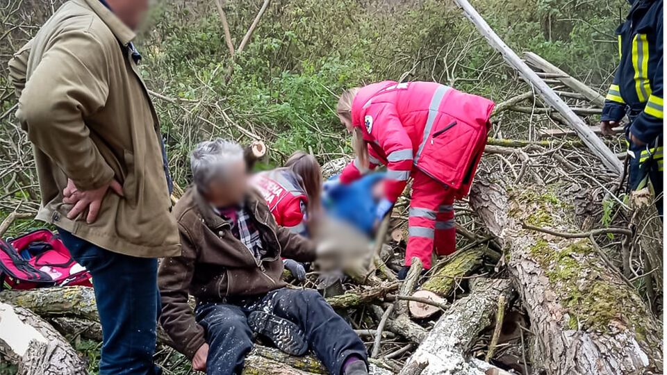 С помощью бензопилы спасатели разрезали дерево и деблокировали пострадавших, рассказали в ГСЧС