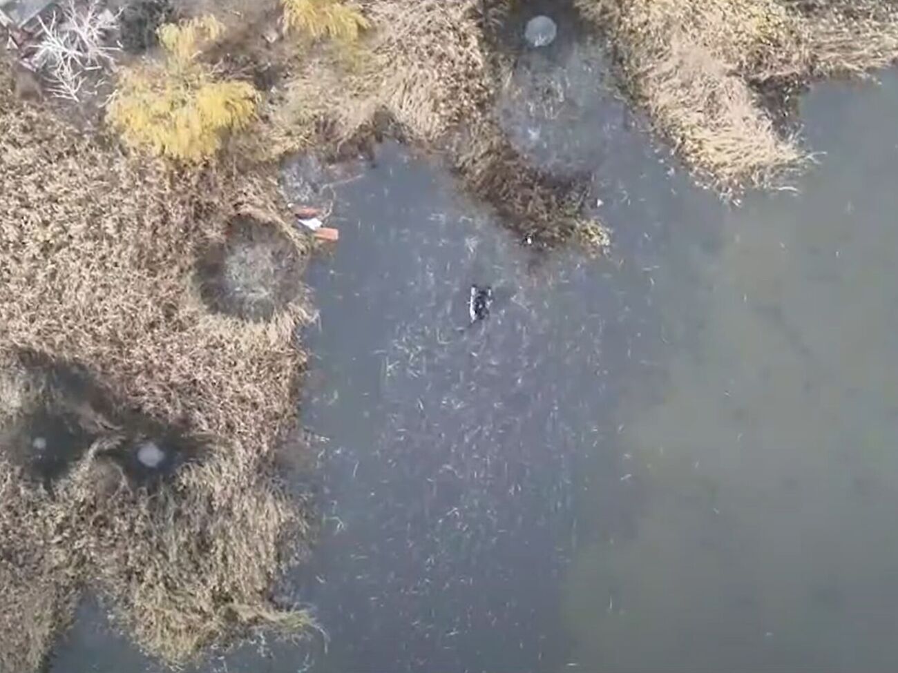 Три группы российской пехоты попытались переправиться через реку на резиновых лодках, рассказали в 46-й ОАэМБр