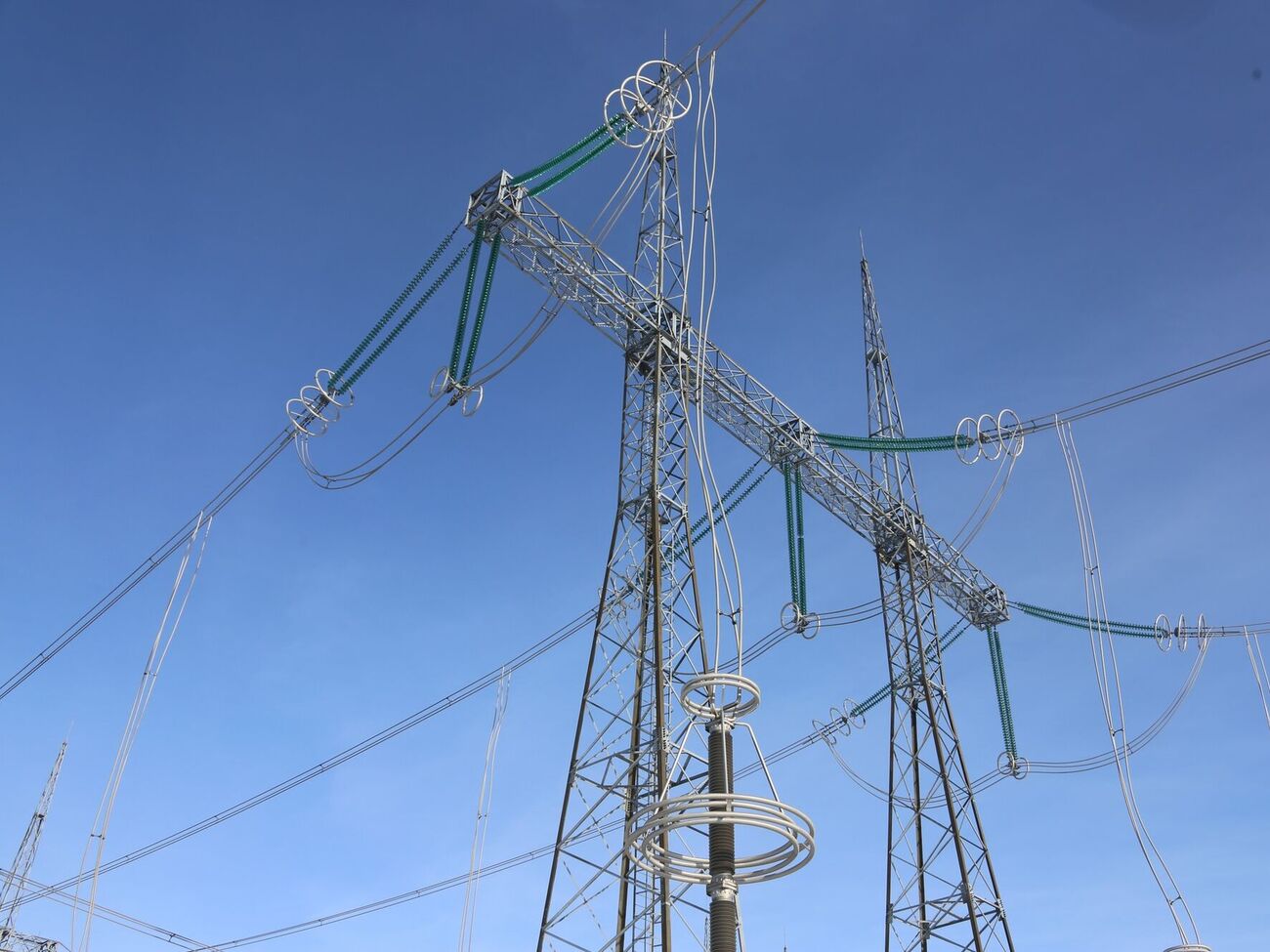 Ограничения будут действовать в течение дня