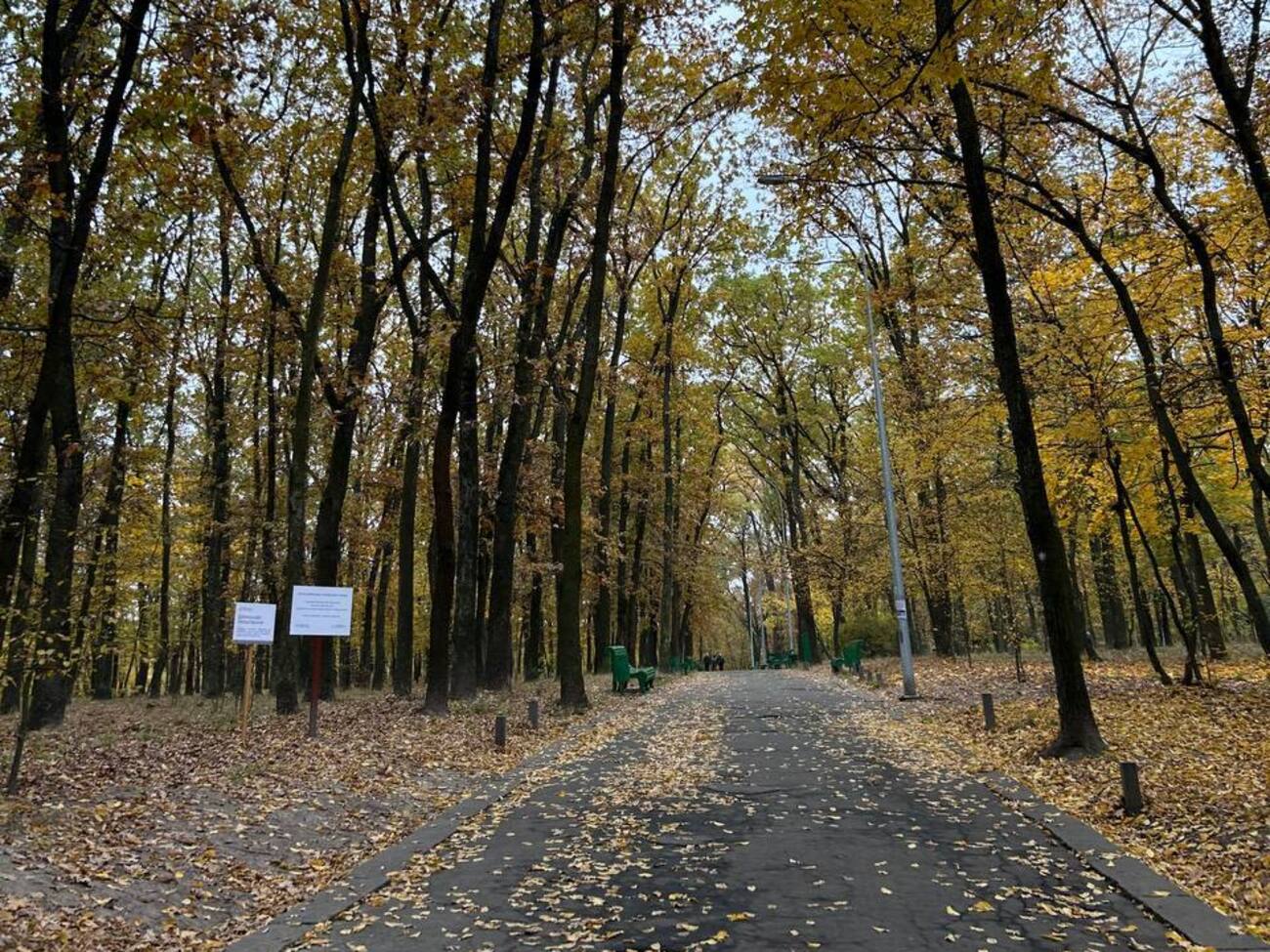 По всей стране прогноз не обещает морозов