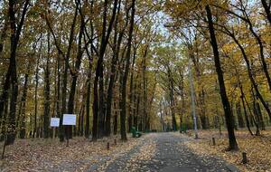 По всей стране прогноз не обещает морозов