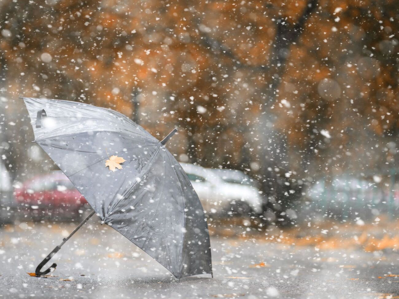 Синоптики прогнозируют дожди и снег почти по всей стране