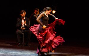 Исполнительницы фламенко выбирают для выступлений соответствующую одежду