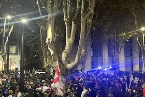 Вечером 15 ноября на ночной протест собрались студенты Тбилисского государственного университета (ТГУ) им. Джавахишвили