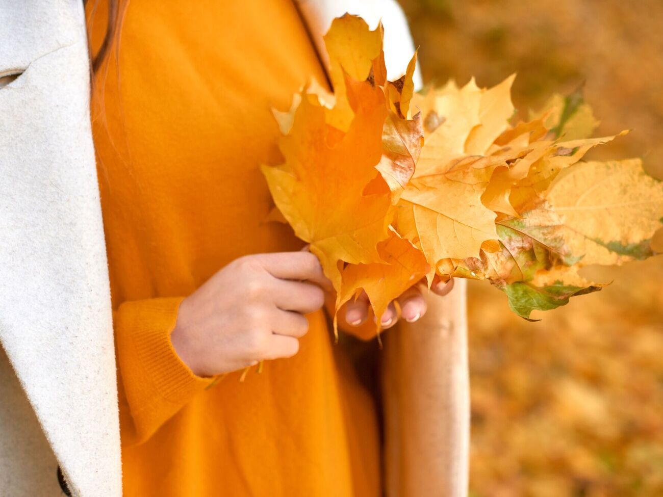 Найтепліше, за словами Діденко, буде на Прикарпатті, найхолодніше – у Харківській області