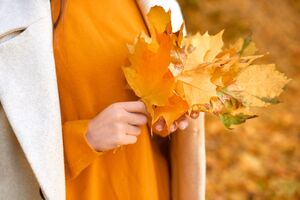 Найтепліше, за словами Діденко, буде на Прикарпатті, найхолодніше – у Харківській області