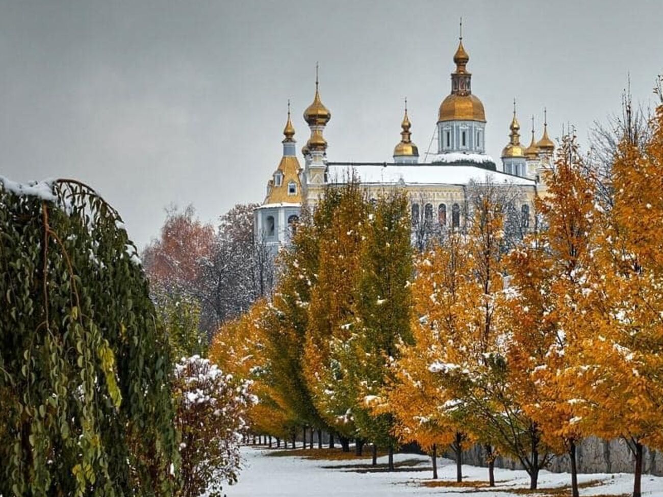 Сніг може бути в більшості регіонів країни