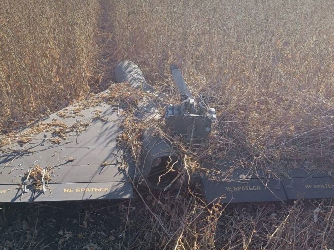 По данным Коваленко, Россия преследует военные и разведывательные цели, а также пытается психологически сломить сопротивление людей