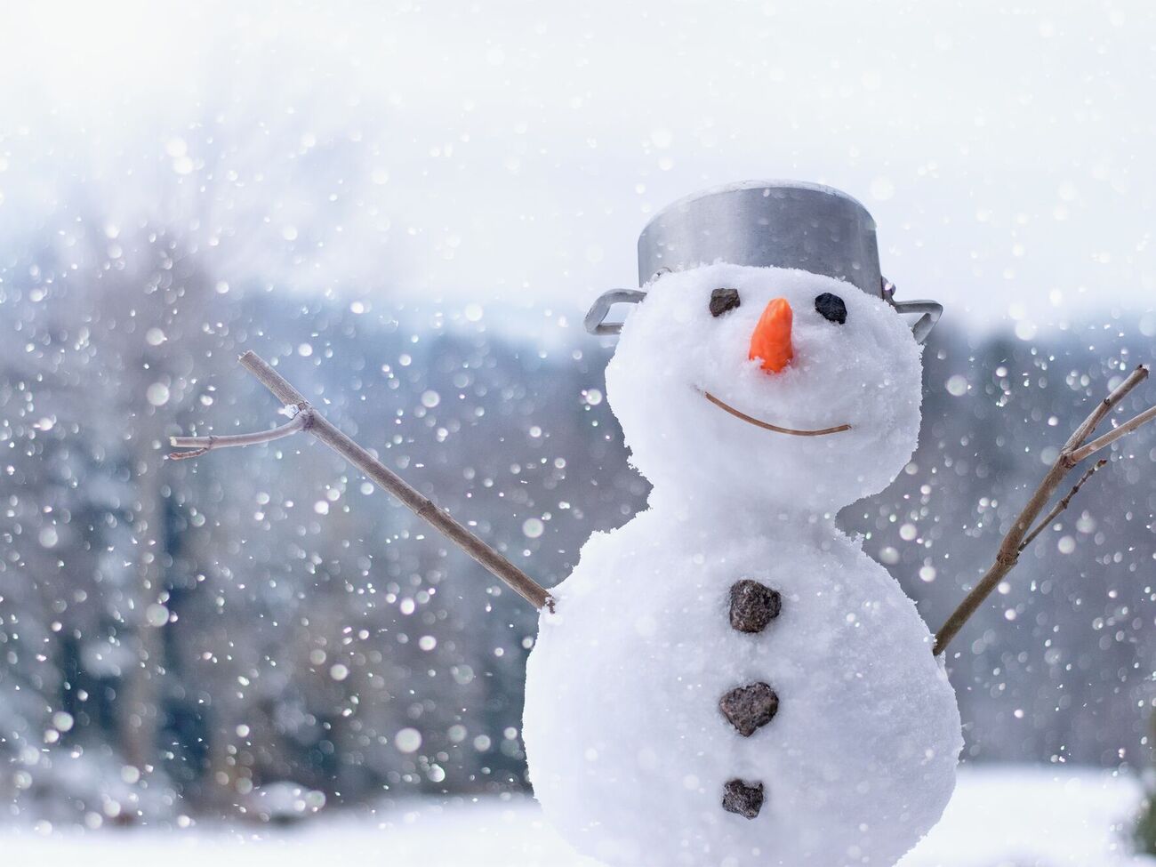 21 ноября в ряде регионов Украины будет сильный порывистый ветер с дождем и мокрым снегом