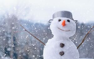 21 ноября в ряде регионов Украины будет сильный порывистый ветер с дождем и мокрым снегом