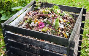 Закладайте зібране листя в компост пошарово