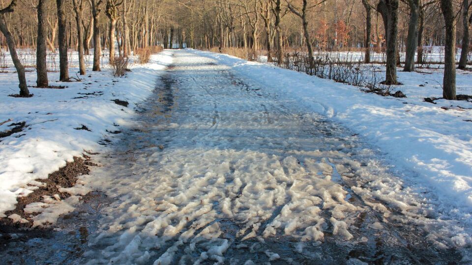 В Україні прогнозують сніг і дощі
