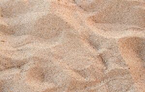 Товарищ подростка пытался его откопать, пишет полиция