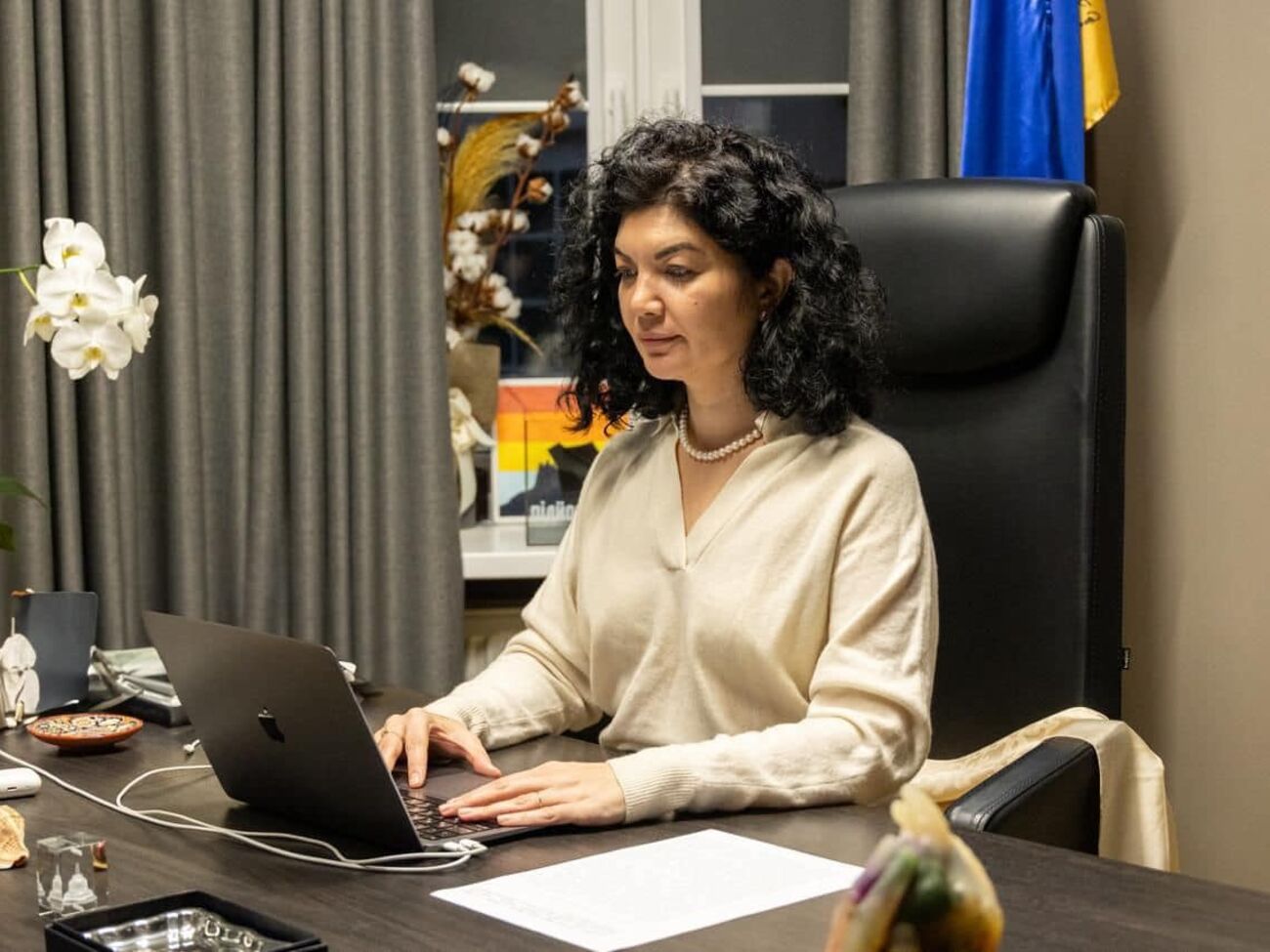 Ташева занимает должность представителя президента в АРК