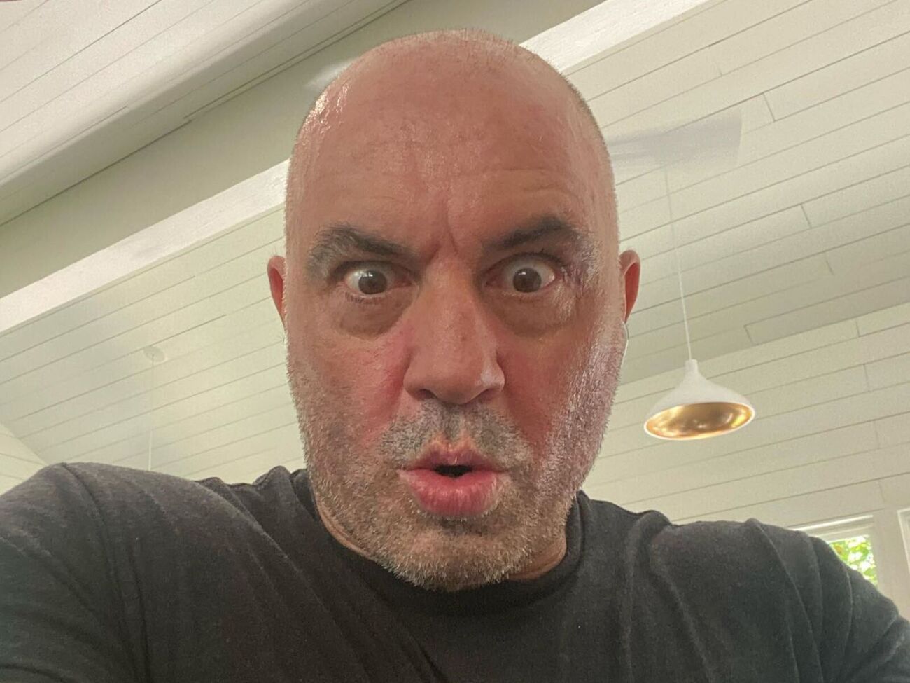 Відео Рогана, у якому він згадує Зеленського, уже набрало понад 1 млн переглядів