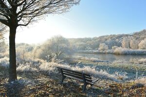 У південній частині країни вранці ймовірний туман