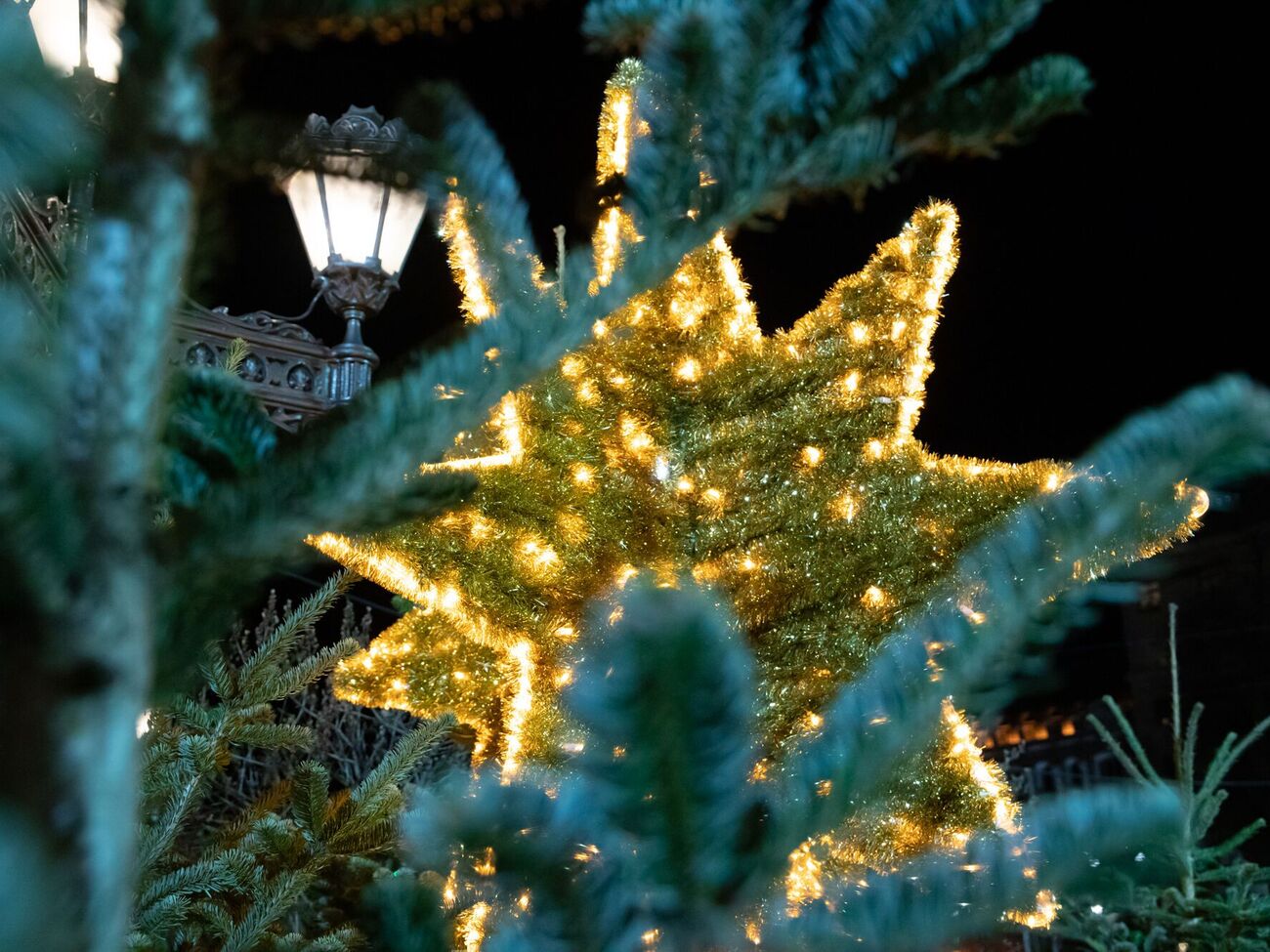 Новогодняя елка на Софийской площади в Киеве будет стоять до 10 января