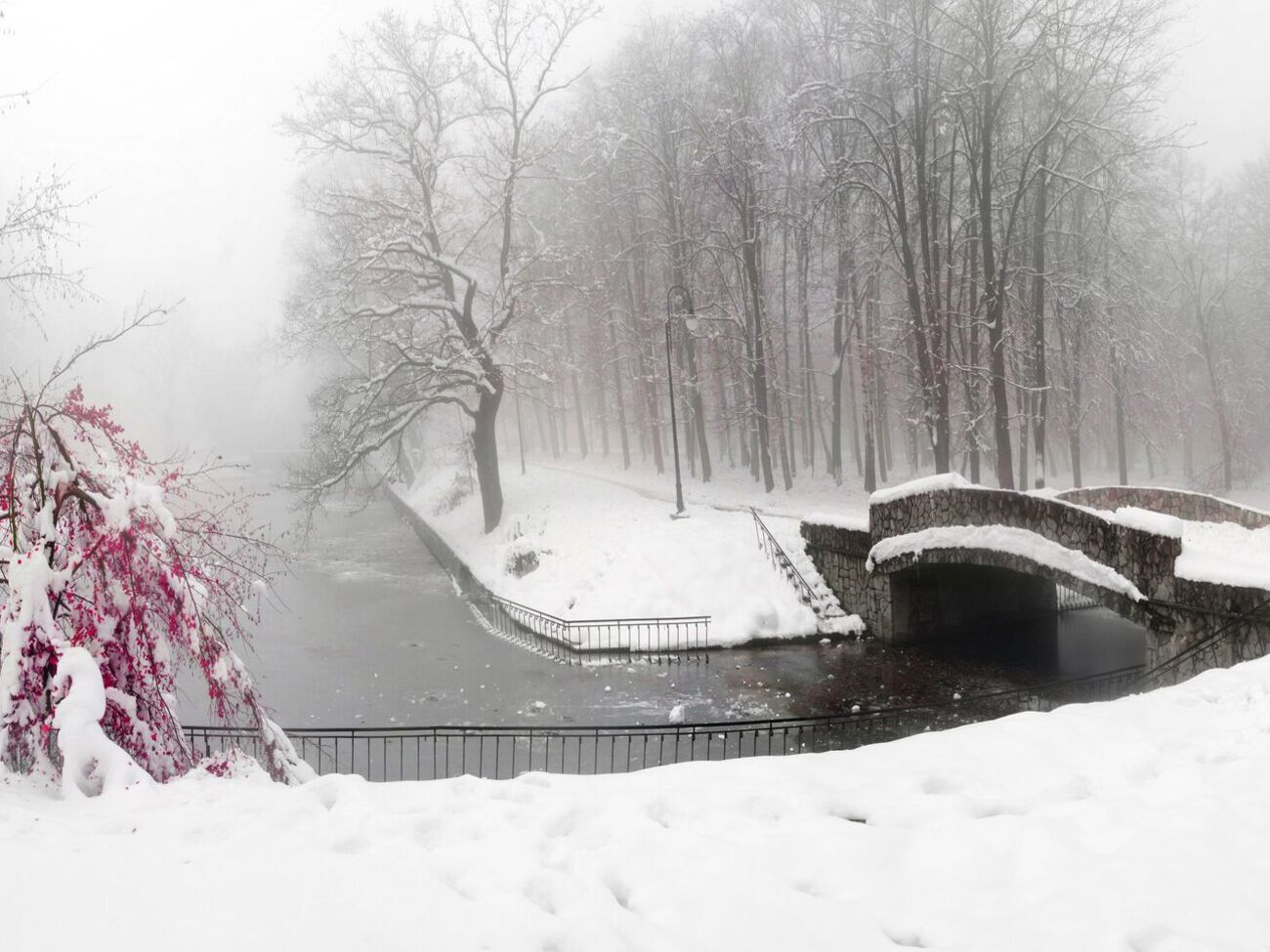 Синоптикиня дала прогноз погоди на четвер