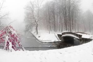 Синоптикиня дала прогноз погоди на четвер