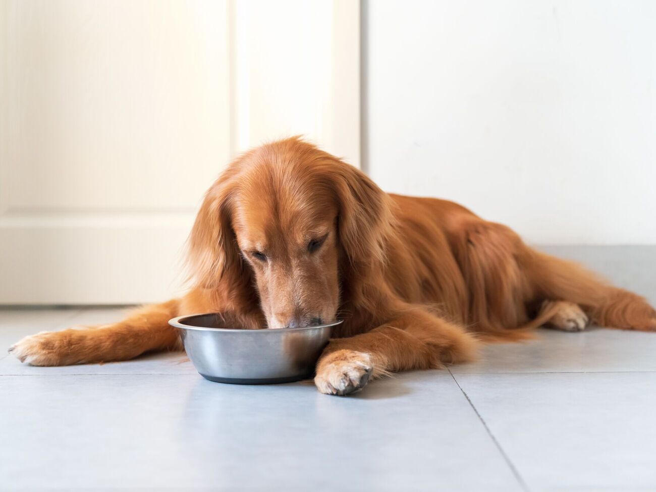 Процесс перехода должен занимать 7–10 дней, иногда дольше