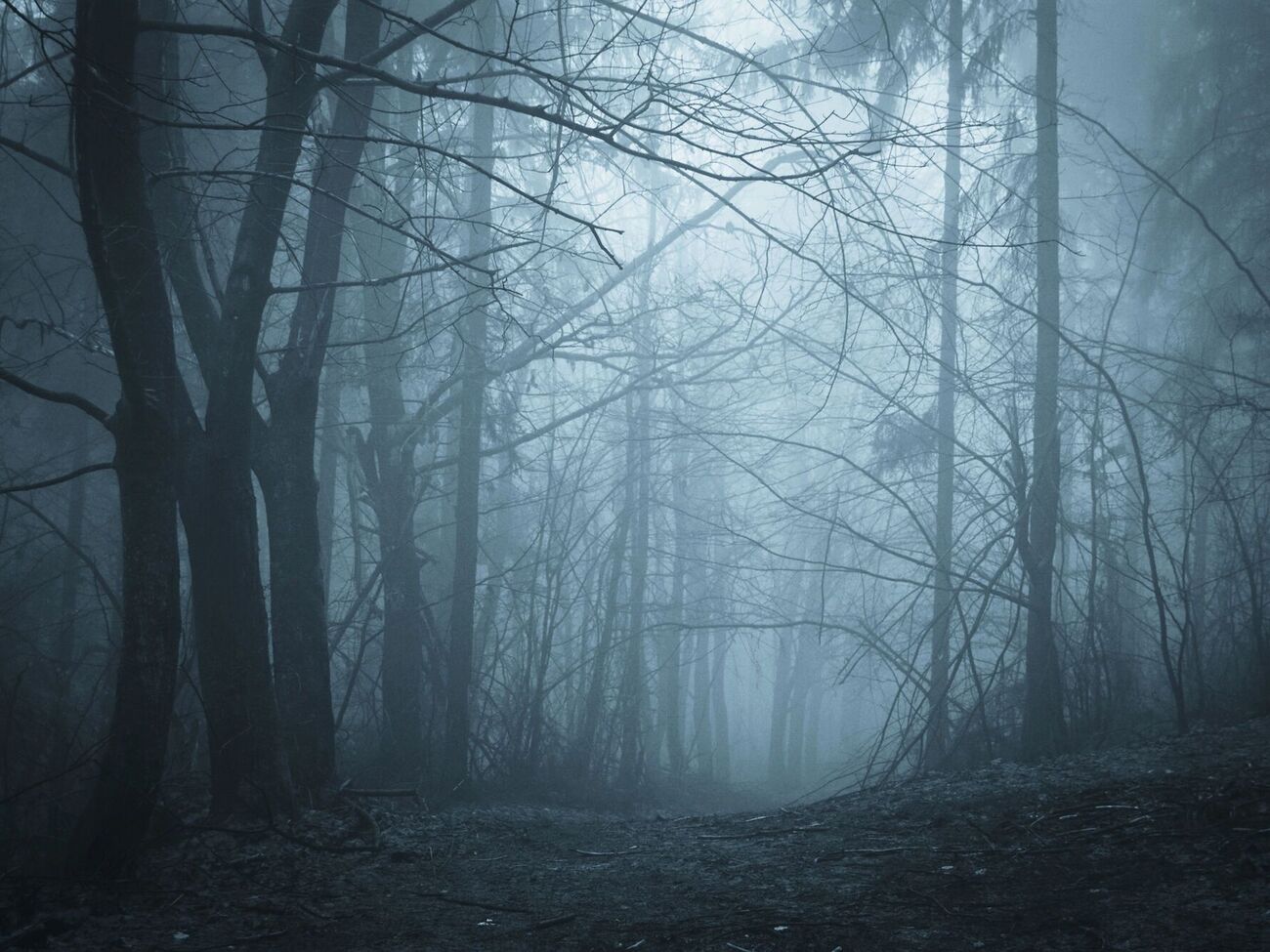 Тумани можуть бути не лише вночі, а подекуди й удень