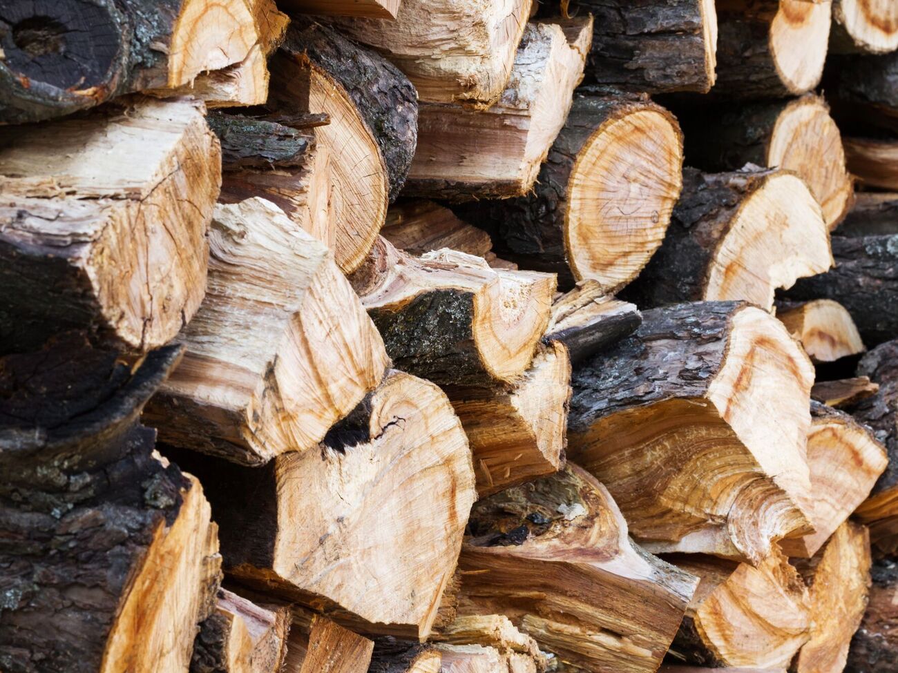 По новому закону нельзя будет хранить дрова без документов
