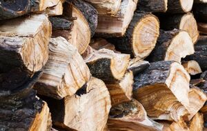 По новому закону нельзя будет хранить дрова без документов