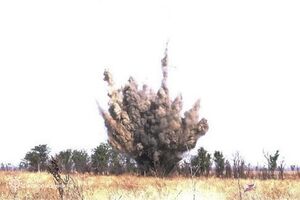 Серед постраждалих від мін – 199 фермерів, розповіли в Головному управлінні протимінної діяльності, цивільного захисту та екологічної безпеки