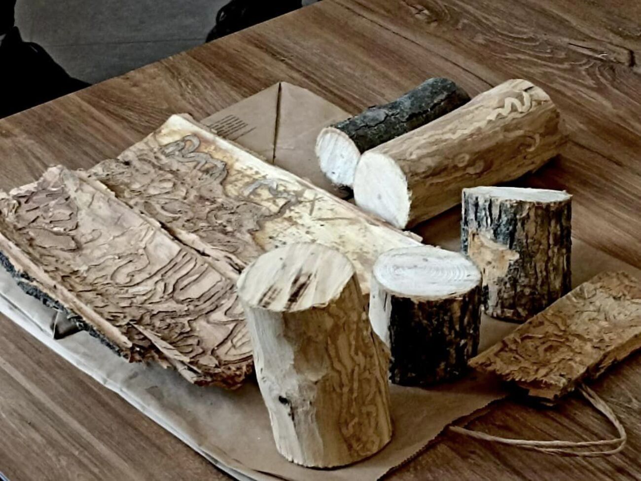 За хранение дров стоимостью до 30 тыс. грн ответственность не предусмотрена