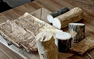 За хранение дров стоимостью до 30 тыс. грн ответственность не предусмотрена