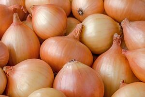 Цибулю треба зберігати сухою