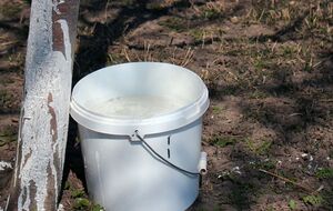 Для приготовления 5 л раствора понадобится примерно 5 кг извести