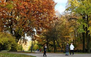 В Киеве будет сухая погода