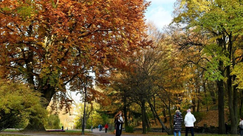В Киеве будет сухая погода
