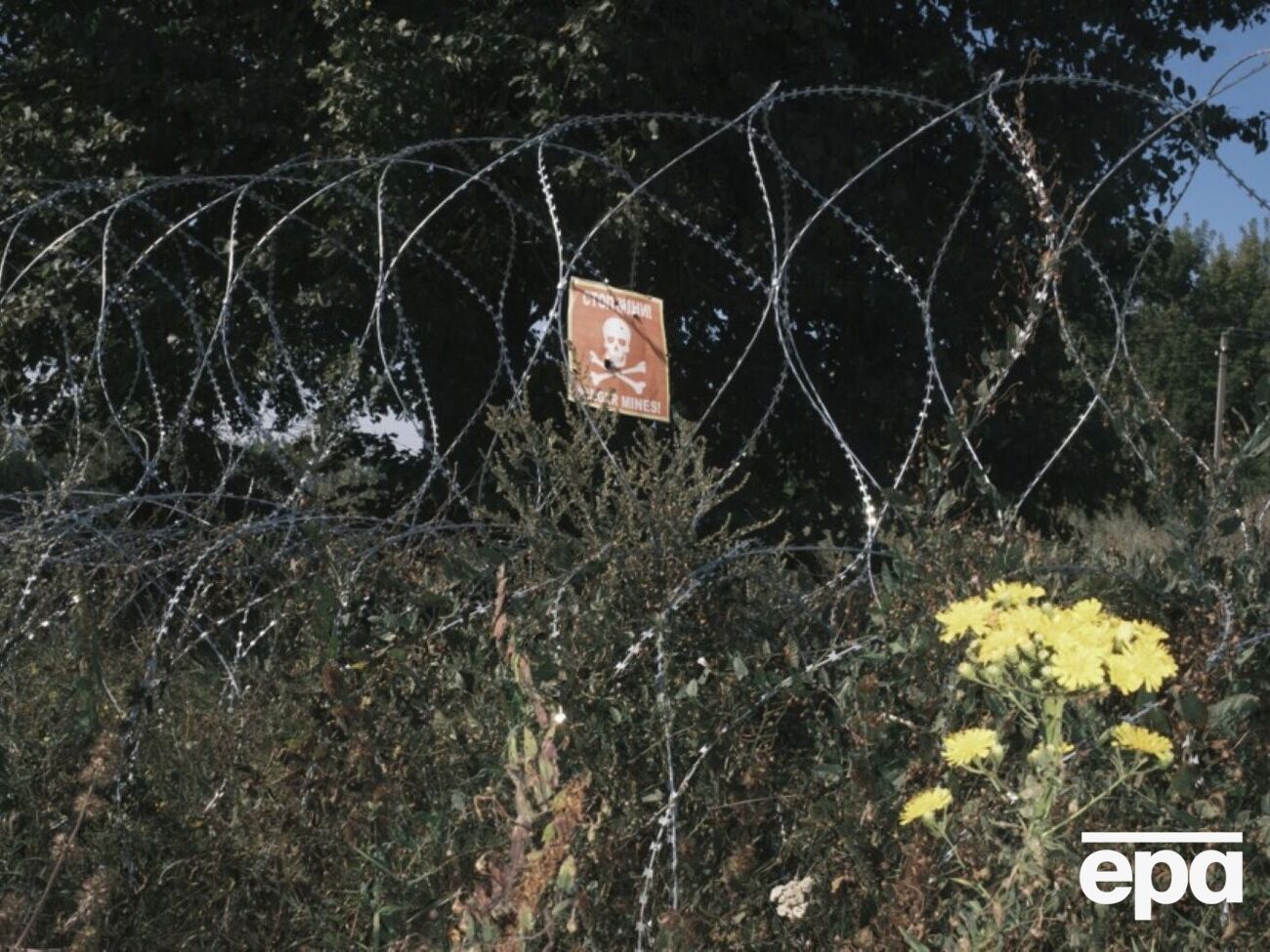 Принимал ли задержанный россиянин участие в казнях, пока неизвестно