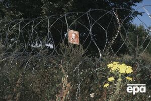 Принимал ли задержанный россиянин участие в казнях, пока неизвестно