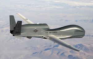 Беспилотник НАТО RQ-4D во время патрулирования