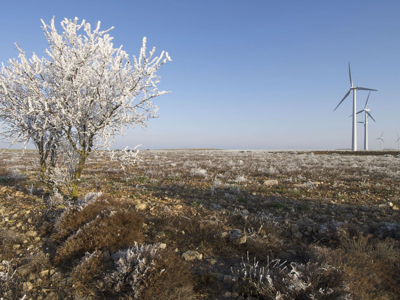 В ближайшие недели НКРЭКУ должна утвердить тариф на передачу электроэнергии для "Укрэнерго"