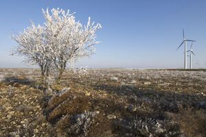 В ближайшие недели НКРЭКУ должна утвердить тариф на передачу электроэнергии для "Укрэнерго"
