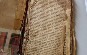 В ВСУ ожидают, что откликнутся владельцы Библии